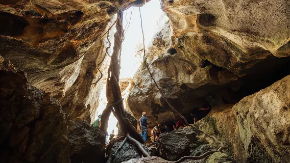 Capricorn Caves Capricorn Explorer