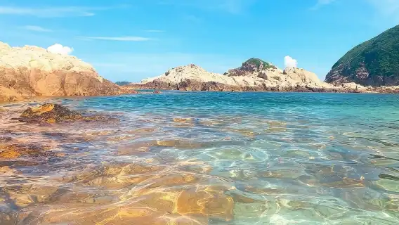 เรือคายัค 8 ชั่วโมง [เรือคายัคไซ่ง่อน/แพดเดิลบอร์ดเต็มวัน]|ใกล้ป้ายรถเมล์ท่าเรือ|สำรวจเกาะอย่างอิสระ + การสอนสำหรับมือใหม่