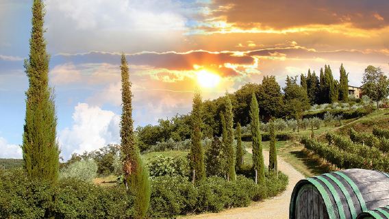 The Wonders of Chianti - Half-Day Tour