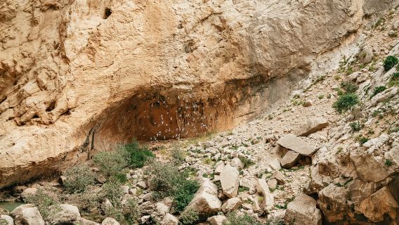 El Chorro: Caminito del Rey Guided Tour with Shuttle Bus