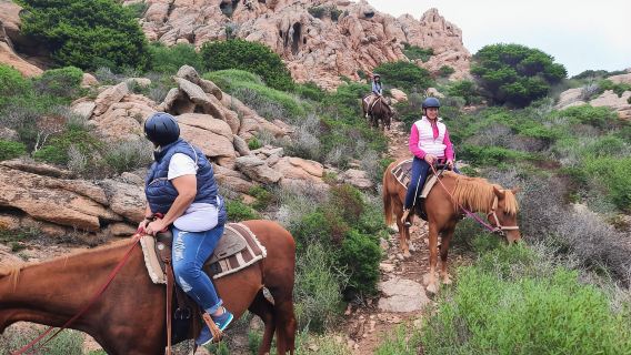Desde Palau: tour en minibús y paseo a caballo en La Maddalena