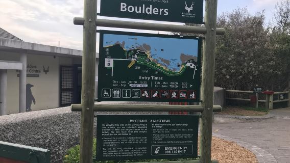 Cape Peninsula, Tanjung Harapan dan Lawatan Persendirian Penguin