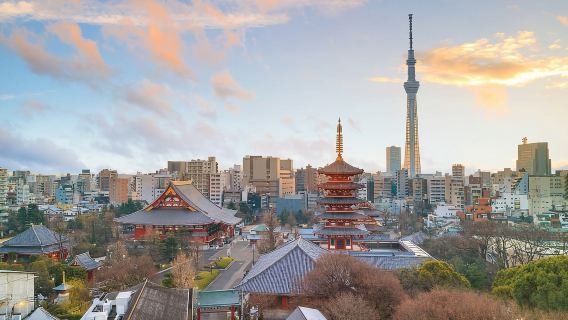 Tokyo : visite d'une demi-journée en petit groupe le matin