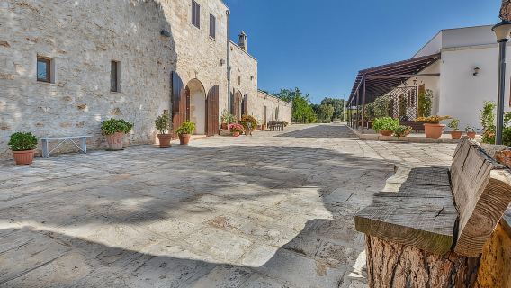 Ostuni: Olive Oil Tasting Tour