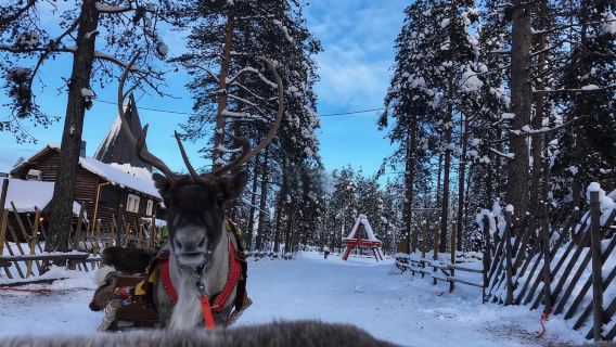 芬蘭羅瓦涅米教堂+聖誕長者村+雪橇體驗/私享包車遊/冬季特惠