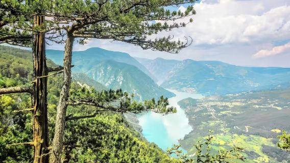 塞爾維亞來回：德里納河屋+塔拉國家公園（中文團）|兩人成團）