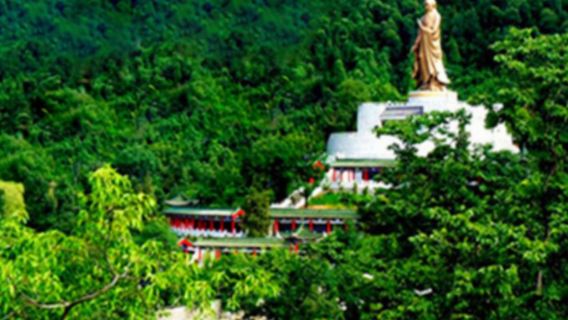 Louguantai Forest Park + Qinling Four Rare Animals Science Park 1-day tour * Seek the way. Find fall. Internet-famous Qi Zai