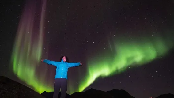 Chase Northern Lights with Photographer - Half-Day Small Group Tour