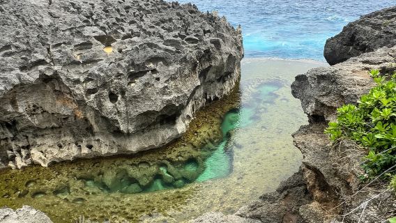 Nusa Penida: Snorkeling, West trip, lunch & speed boat