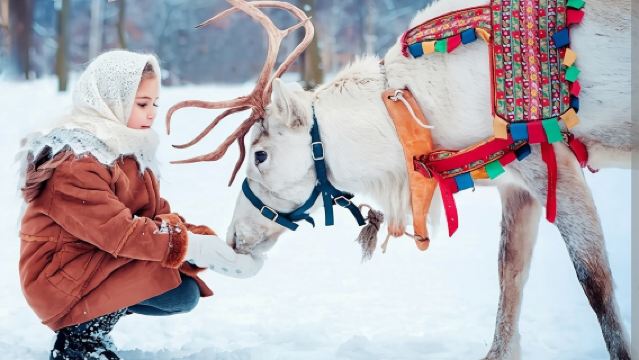 Малыши и олени | Семейный однодневный тур с культурным опытом в Самь Сыйт (кормление оленей + традиционные игры)