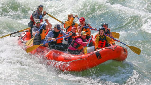 Jackson Hole: Tour de rafting en aguas bravas del río Snake