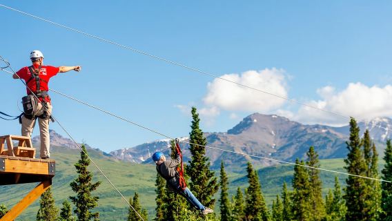 Denali Park Zipline Adventure