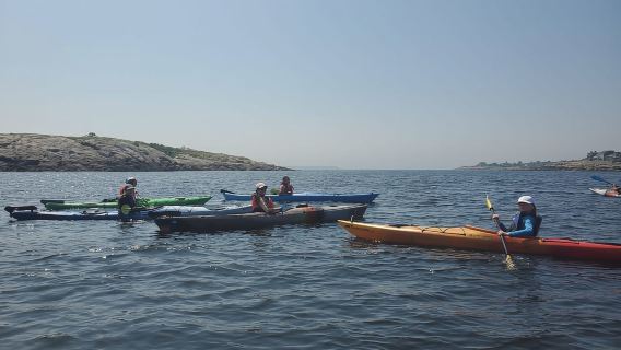 Day Trip From Boston: Kayak Tour through Gloucester Harbor
