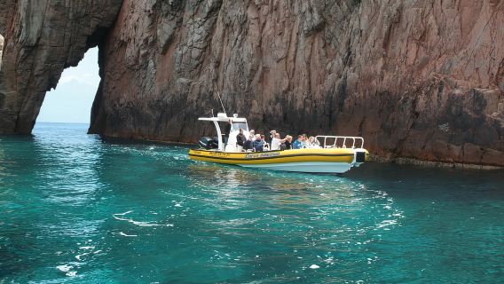 Porto: Pelayaran Setengah Hari ke Cagar Alam Scandola & Calanche de Piana