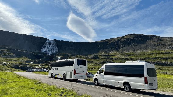 Dari Isafjordur: Perjalanan Sehari dengan Bus ke Air Terjun Dynjandi dengan Panduan