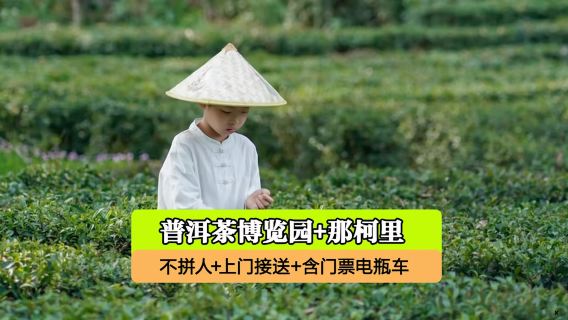 普洱日遊