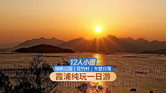 霞浦東壁日落一日遊【打卡楊家溪榕楓公園丨拍光影棧道橘色海】