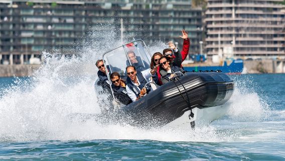 Tour en lancha rápida por el Duero, a lo largo de los 6 puentes de Oporto