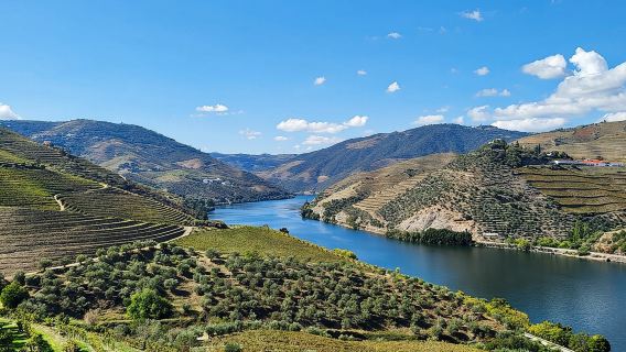 ทัวร์ส่วนตัว Douro Valley (โรงผลิตไวน์ 2 แห่ง + เรือ)
