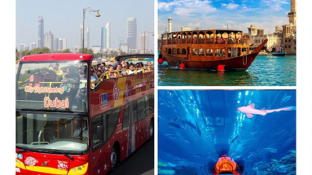 Pase Premium para la visita turística por la ciudad de Dubái