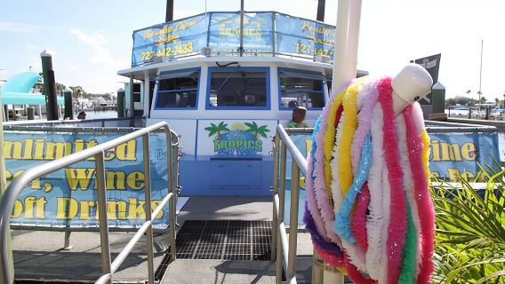 Clearwater Beach: dolphin encounter boat cruise
