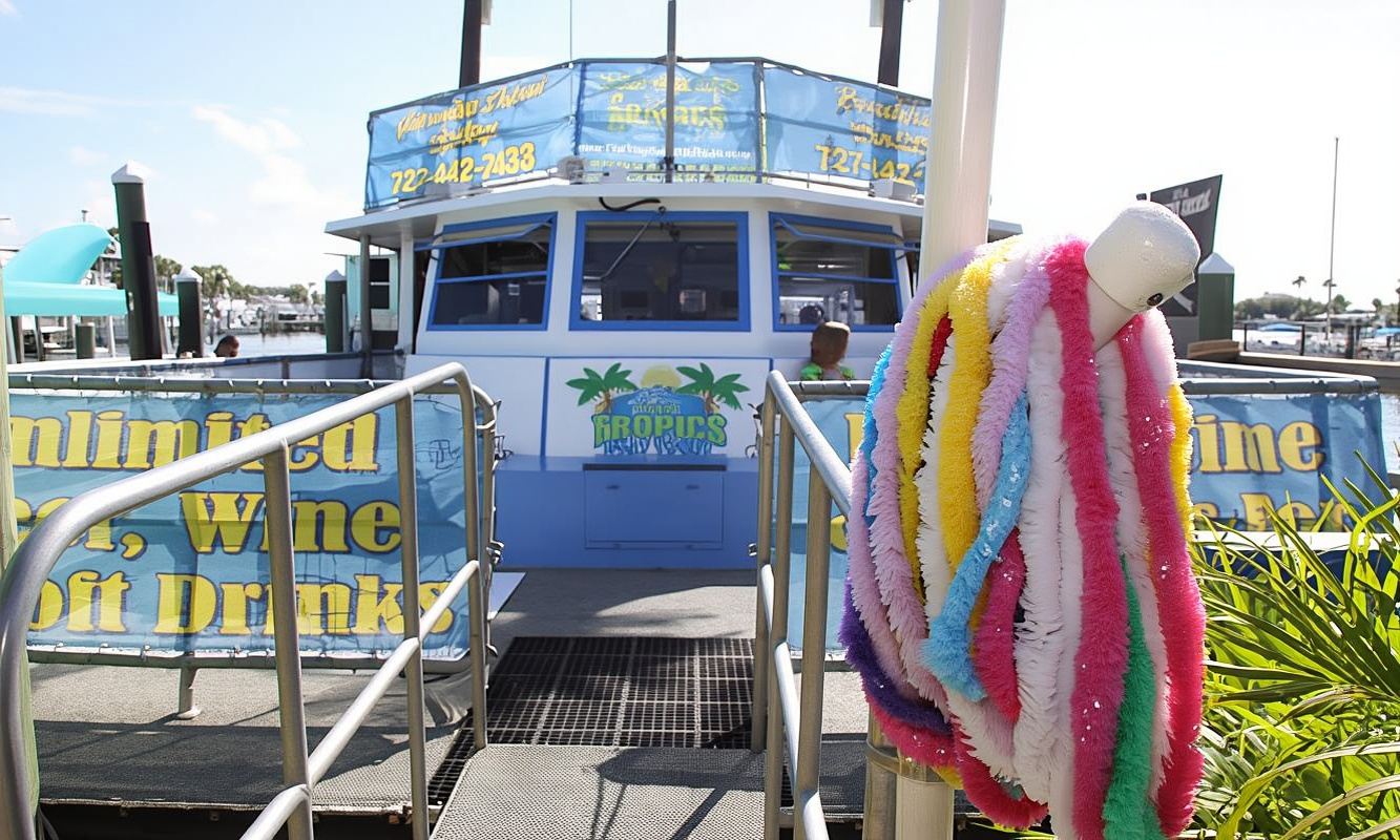 Clearwater Beach: dolphin encounter boat cruise