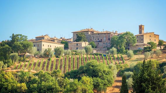 Wine tasting and lunch in a typical winery in Montepulciano