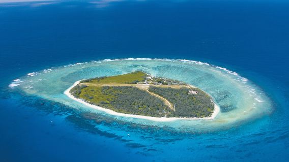 Tagestour zur Lady Elliot Island [Panoramaflug | Hin- und Rückflug ab Gold Coast/Brisbane | Optionale Transfers | Lady Elliot Island