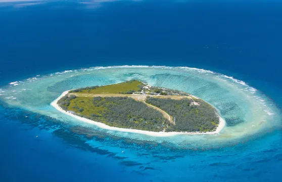 伊利特夫人島一日遊【觀景小飛機丨可選黃金海岸/布里斯本來回丨可加購接送丨Lady Elliot lsland埃利奧特】