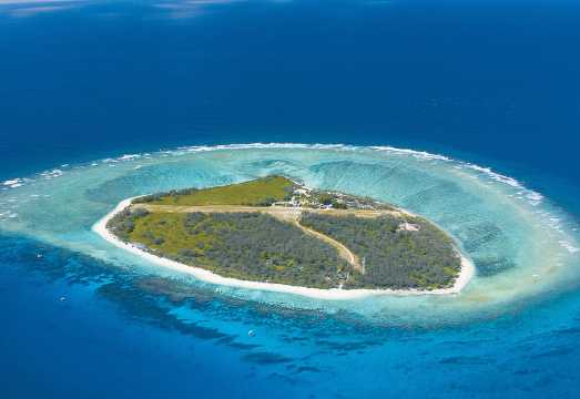 Lady Elliot Island 1-day tour [Scenic flight | Optional round-trip from Gold Coast/Brisbane | Optional transfers | Lady Elliot Island] AUD 608.01