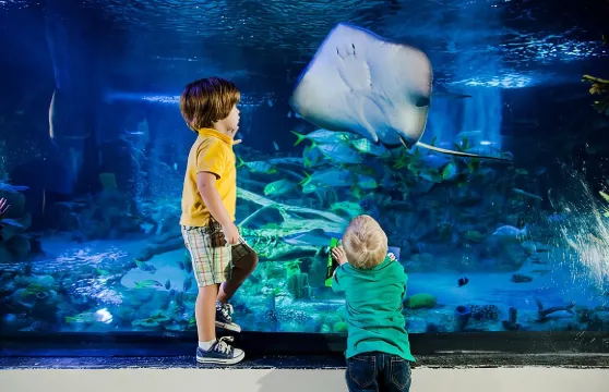 海洋生物水族館格雷普韋恩門票