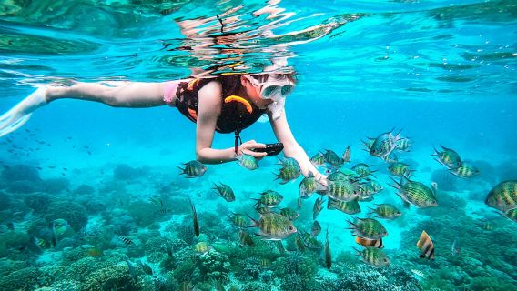 Same-day booking available! Koh Larn private small group day trip (20 people), Pattaya snorkeling and excursions, departures from Bangkok.