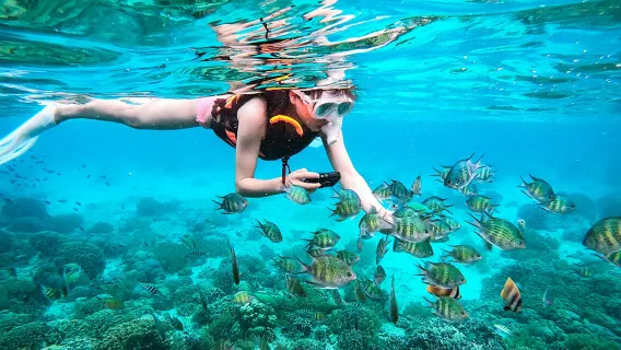 Book samme dag! Dagsudflugt til Ko Lan med 22 personer, snorkling i Pattaya med afgang fra Bangkok