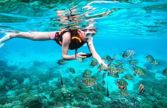 即日可約!格蘭島22人小團一日遊芭堤雅出海浮潛可曼谷出發