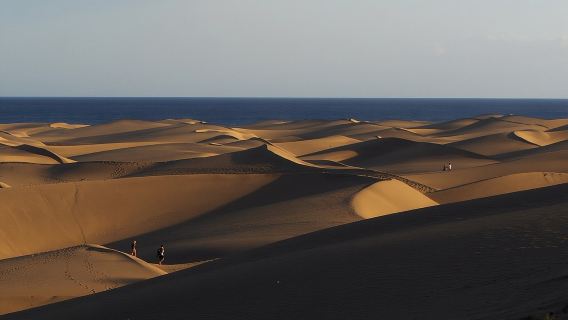 Alquila un patinete eléctrico de dos plazas desde una hasta cuatro horas: explora Maspalomas.