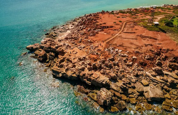 全景觀光巴士之旅 — 探索布魯姆！