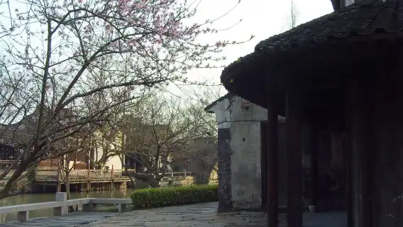 嘉興烏鎮西柵+西柵夜遊半日遊【下午出發 賞西柵夜景】