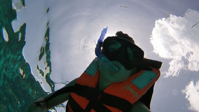 Isla Mujeres Snorkeling Adventure at the Underwater Museum