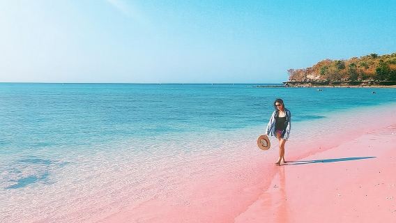 Pink Beach Lombok: Eintägige Privattour zu einem versteckten Paradies