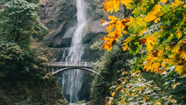 Excursion d'une journée au mont Hood depuis Portland jusqu'aux chutes de Multnomah et Hood River