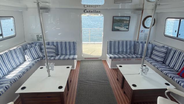 Luxury Whale Watching: Fewer People, Extra Speed, Expert Staff