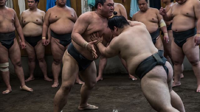 Tokyo Sumo Morning Practice Tour at Stable