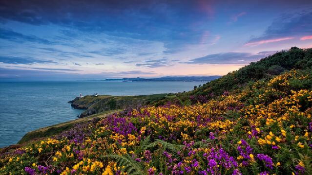 Howth Coastal Half-Day Bus Tour from Dublin with Live Guide