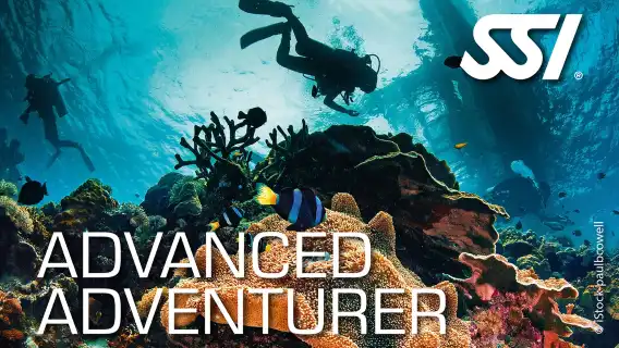 馬來西亞亞庇潛水考證O+A考證4天【SSI 開放水域潛水員 & 高級探險員-課程】