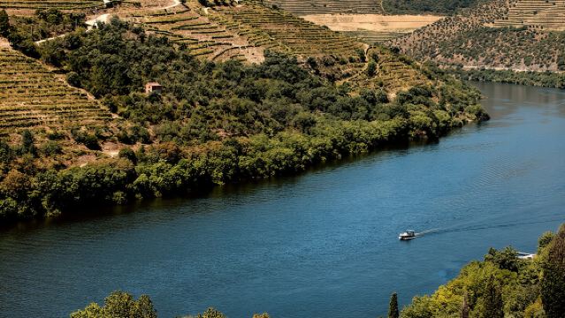 Pinhão : croisière sur le fleuve Douro avec déjeuner inclus