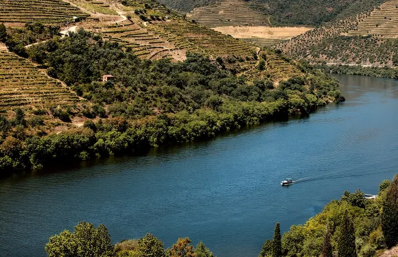 Pinhão：杜羅河遊船（含午餐）