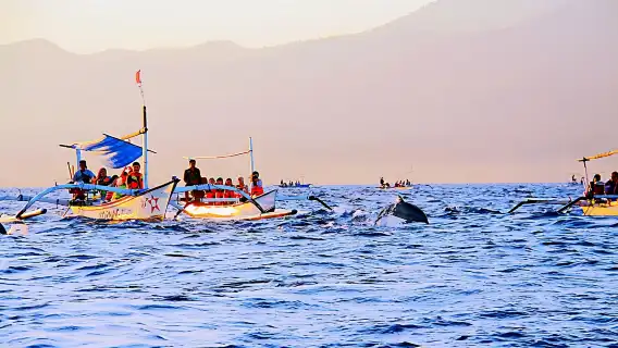 峇里島島點對點專車服務【吉利馬努克碼頭| 羅威納| 薩努爾碼頭 其它景點】