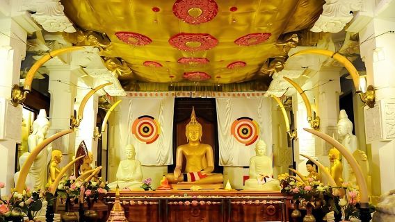 From Kandy: Full Day tour in Kandy with Ambuluwawa Tower