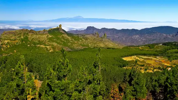 Gran Canaria: Full-Day VIP Tour by Bus