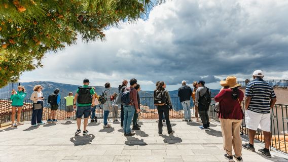 Desde Atenas: Excursión de un día en grupos pequeños a Delfos, el Museo y Arájova